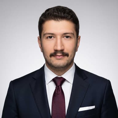Mohammad Hossein Bozorg